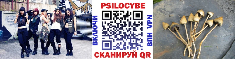 Галлюциногенные грибы мицелий  Разумное 