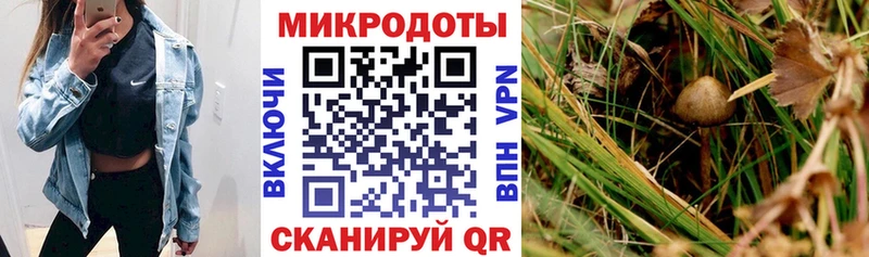 Псилоцибиновые грибы Psilocybe Разумное